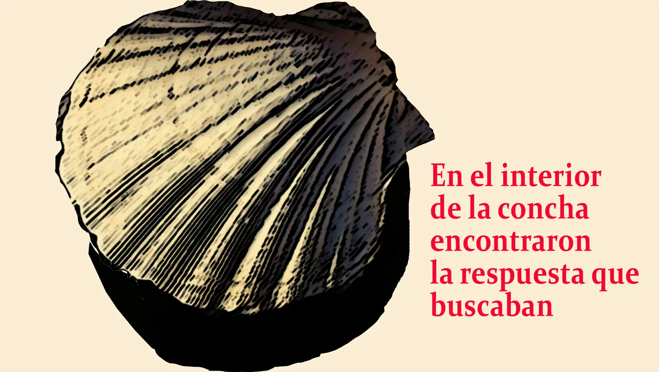 39 concha