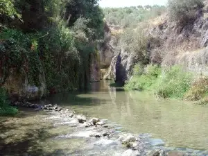 162e11e616cf32c8cf48fb6700fb06a2