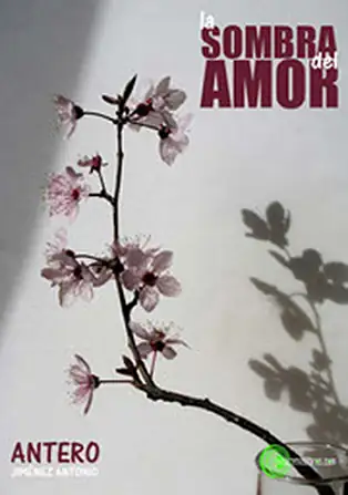 publilasombra 3